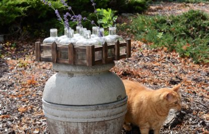 9 Glass Bottles in Wood Crate 2