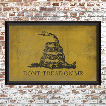 Don't Tread on Me Flag Print