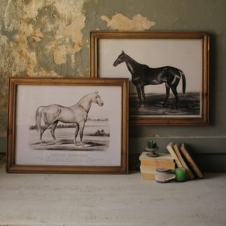 framed horse prints set of 2