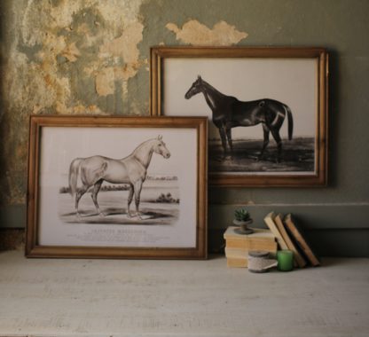 framed horse prints set of 2