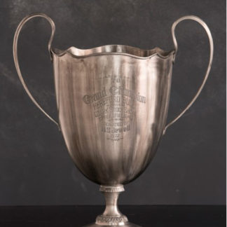 vintage grand champion bull trophy