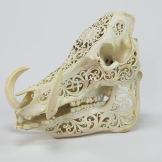 Artisan Carved Skull (Medium)