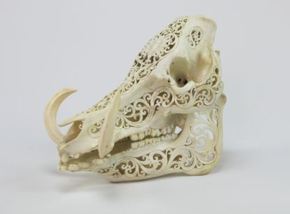 Artisan Carved Skull (Medium)