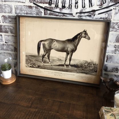 Famous Race Horse Framed Print- Lexington