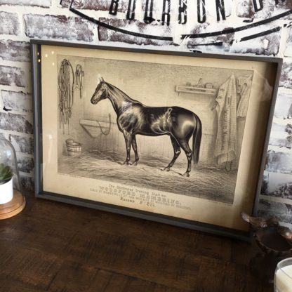 Famous Race Horse Framed Print- Woodford Mambrino