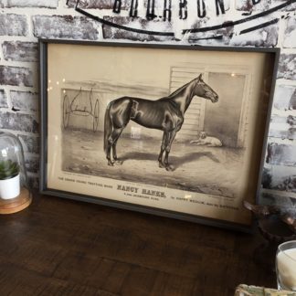 Famous Race Horse Framed Print- Nancy Hanks