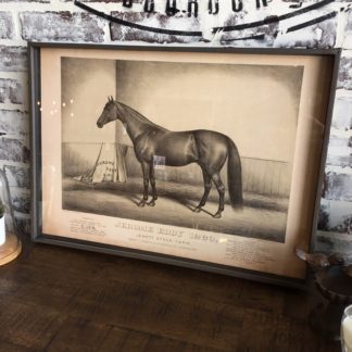 Famous Race Horse Framed Print- Jerome Eddy