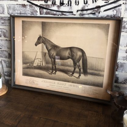 Famous Race Horse Framed Print- Jerome Eddy