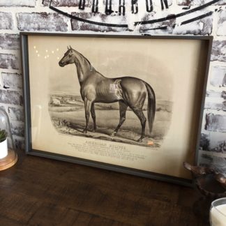 Famous Race Horse Framed Print- American Eclipse