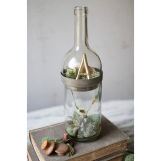 Wine Bottle Terrarium