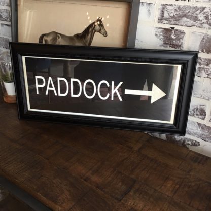 PADDOCK Framed Print