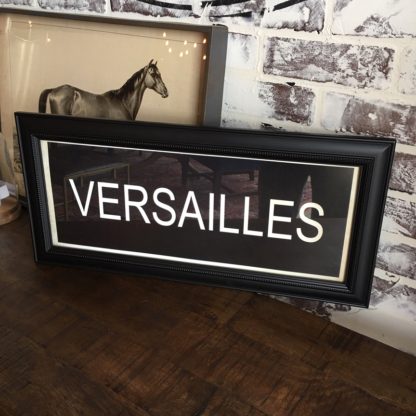 VERSAILLES Framed Print