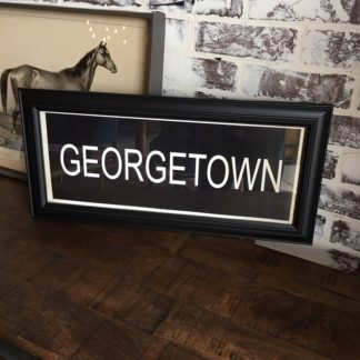 GEORGETOWN Framed Print