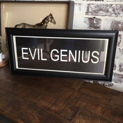 EVIL GENIUS Framed Print