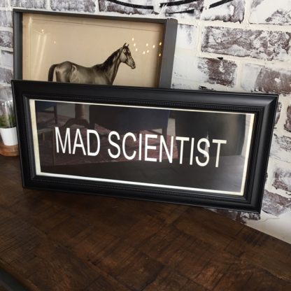 MAD SCIENTIST Framed Print