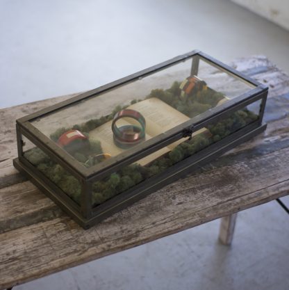 Glass and Metal Display Case