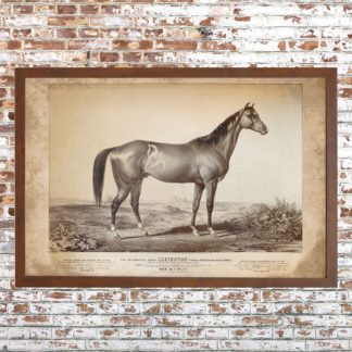 Distressed Lexington Racehorse Print (Framed)