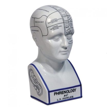 Vintage Phrenology Head