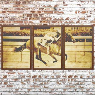 Distressed Thoroughbred Triptych (Framed)
