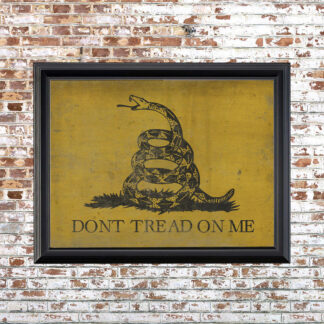 GADSDEN FLAG Framed Print