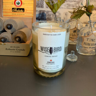 Recycled Wisebird Cider Bottle Candle