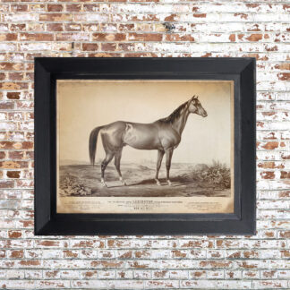 Distressed Lexington Racehorse Framed Print Small