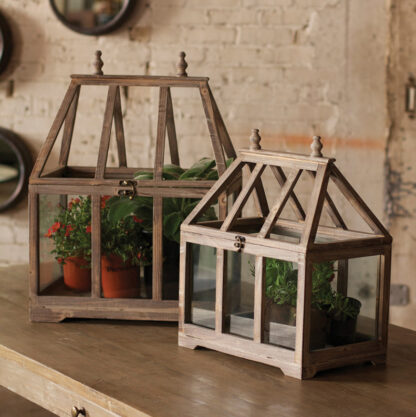 Wood and Glass Terrarium