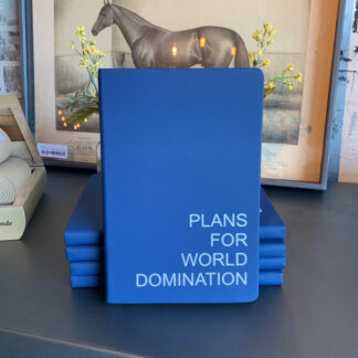 Journal- Plans for World Domination