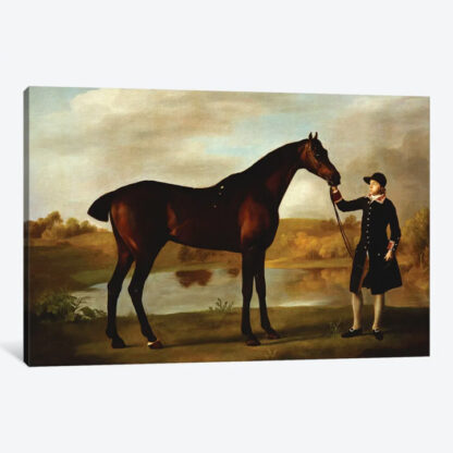 The Duke of Marlborough's Bay Hunter- Framed Canvas Giclee