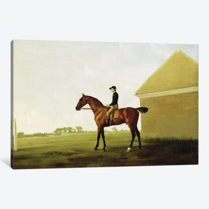 Turf, c.1765- Framed Canvas Giclee