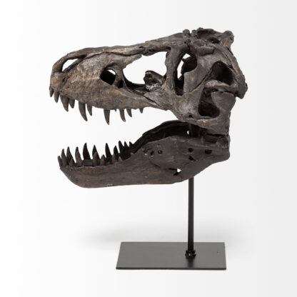 Jurassic Resin T-Rex Skull