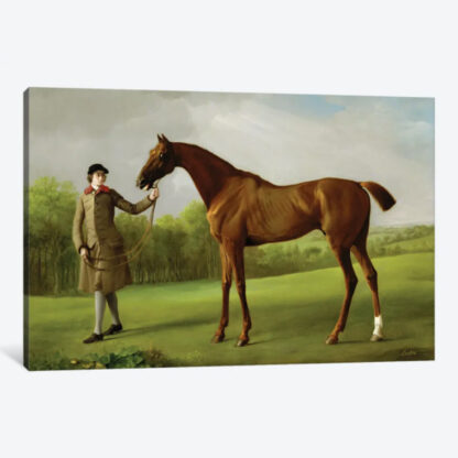 Lustre, Held by Groom- Framed Canvas Giclee