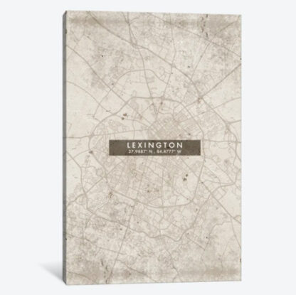 Lexington, Abstract Map- Framed Canvas Giclee