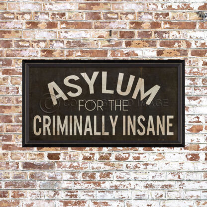 Asylum for the Criminally Insane