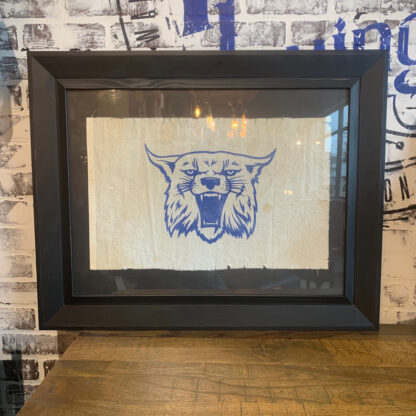 Framed Banner- Wildcats 2