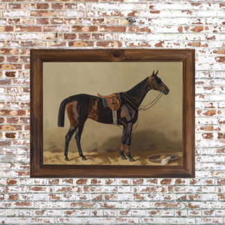 Black Horse Framed Print- 18x24
