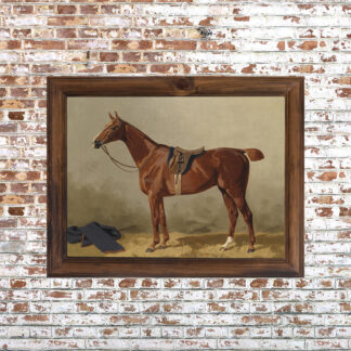 Red Horse Framed Print- 18x24