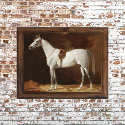 White Horse Framed Print- 18x24