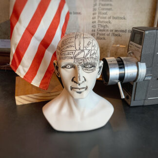 Resin Phrenology Head Statue