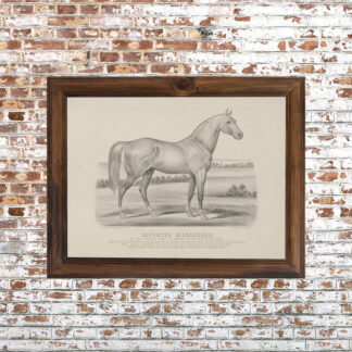 Imported Messenger Framed Print- 18x24