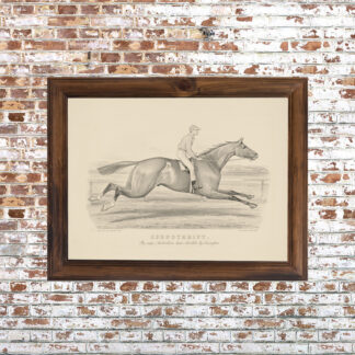 Spendthrift Framed Print- 18x24