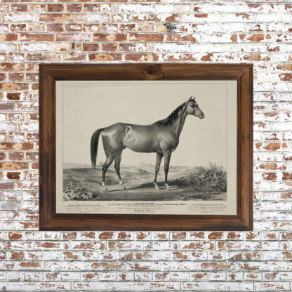 Lexington Racehorse Framed Print- 18x24