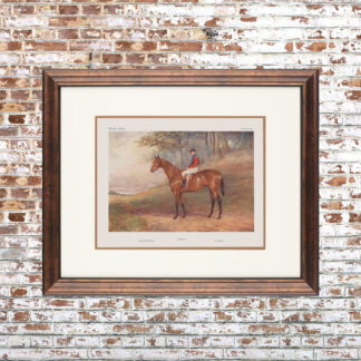 Vanity Fair Horse Framed Print 12