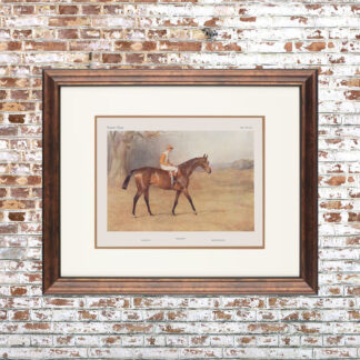 Vanity Fair Horse Framed Print 13