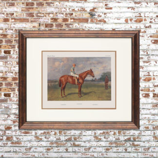 Vanity Fair Horse Framed Print 15