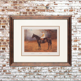 Vanity Fair Horse Framed Print 16