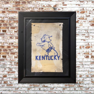 Framed Banner- Wildcats 5