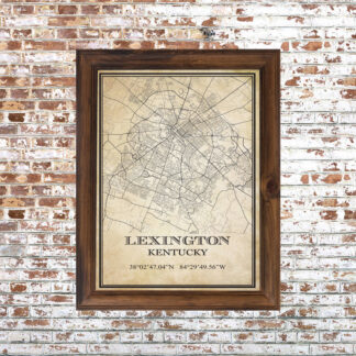 Lexington Map Framed Print Small